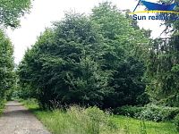 K prodeji pozemek 29.000 m2 u Hranic na Moravě - Foto 3