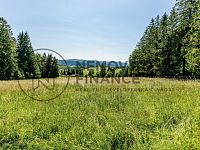 Prodej komerčního pozemku 16 365 m2, obec Frymburk, Lipensko okr. Český Krumlov - Fotoface_15.jpg