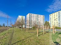  nájem - 2+kk, Na Výsluní 1297, 277 11 Neratovice - A048_12121842_S007.jpg