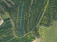 Lesní pozemky 24818 m², spoluvlastnický podíl 5/6, lokalita Mokrá u Soběslavi - 135-2 pozemek mapa.jpg