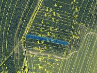 Lesní pozemky 24818 m², spoluvlastnický podíl 5/6, lokalita Mokrá u Soběslavi - 250-1 pozemek mapa.jpg