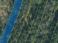 Lesní pozemky 24818 m², spoluvlastnický podíl 5/6, lokalita Mokrá u Soběslavi - 327-1 pozemek mapa.jpg