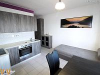 Pronájem vybaveného bytu 1+1 s balkonem a sklepem, 36 m², ul. J. Opletala, České Budějovice