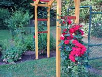 Prodej zahrady s chatou v Chodově - Foto 12