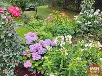 Prodej zahrady s chatou v Chodově - Foto 15