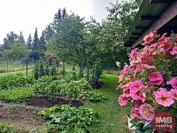 Prodej zahrady s chatou v Chodově - Foto 16