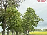 Prodej rodinného domu 4+1 s garáží a velkou zahradou  Odrava (Mostov) u Chebu - IMG_1719.JPEG