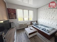 Moderní byt 2+1 s lodžií a výhledem na rybník, Nová Role - IMG_2301.JPEG