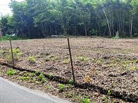 Exklusivní prodej krásného stavebního pozemku o výměře 1 280 m2, Sázava - Čeřenice, okr Benešov - Foto 2