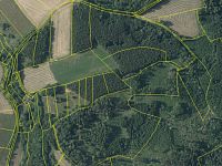 Prodej zemědělských pozemků o celkové výměře 14 206 m2, Čeřenice - Sázava, okr. Benešov