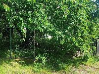 Prodej rodinného domu v Praze 5 - Třebonicích, ul. K Řeporyjím - IMG_20260608_150959.jpg