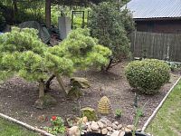 Rekreační chata u Žandova - Foto 18