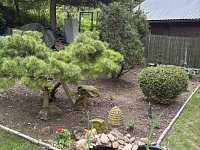 Rekreační chata u Žandova - Foto 17