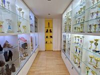 Prodej mezonetového bytu 4+kk + bar, 15.P, 446 m2, Majdalenky, Brno - Lesná - Foto 11