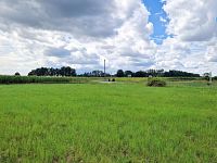 Prodej pozemku, 3572 m2, Rešice - Kordula - Foto 8