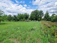 Prodej pozemku, 3572 m2, Rešice - Kordula - Foto 9