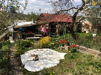 Pronájem zahrádky 300 - 500 m2, Praha 6, Hanspaulka, Zlatnice - Foto 5