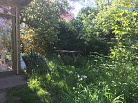 Pronájem zahrádky 300 - 500 m2, Praha 6, Hanspaulka, Zlatnice - Foto 7