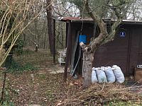 Pronájem zahrádky 300 - 500 m2, Praha 6, Hanspaulka, Zlatnice - Foto 9