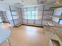 Pronájem domu se zahradou - Vídeňská, Praha 4  - Foto 21