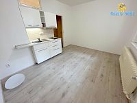 Pronájem garsonky 20m2 Baranova Praha Vinohrady