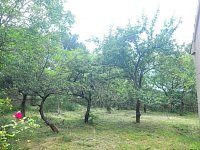 Prodej rodinného domu 4kk se zahradou 2380m2 - Velký Chlumec - Foto 19