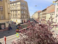 Pronájem bytu 4+kk 118m Chelčického Praha 3 - Foto 16