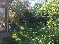 Pronájem zahrádky 300 - 500 m2, Praha 6, Hanspaulka, Zlatnice - Foto 7