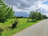 Prodej pozemku, 3572 m2, Rešice - Kordula - Foto 2