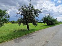 Prodej pozemku, 3572 m2, Rešice - Kordula - Foto 3