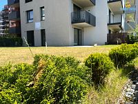 Pronájem bytu 2kk/T/GS, 49m2 + 280m2 zahrada, Zlochova Praha 4 Modřany - Komořany - Foto 26