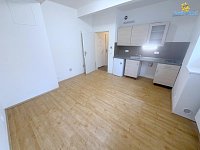 Pronájem garsonky  26m2 U Družstva Ideál Praha Nusle - Foto 2