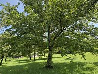 Stavební pozemek pod Radhoštěm - Foto 2