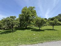 Stavební pozemek pod Radhoštěm - Foto 5