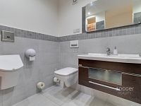 Pronájem luxusního bytu 2+kk s terasou (83,8 m²), Vojkovice, okres Mělník - Foto 22