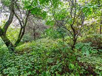 Prodej pozemku 644 m2, Praha - Hloubětín. 