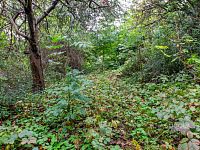 Prodej pozemku 644 m2, Praha - Hloubětín.  - Foto 2