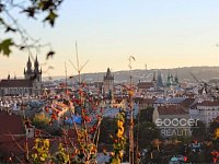 Pronájem bytu 2+kk/M, 40 m2, ul. Jirečkova, Praha 7 - Holešovice. - Foto 12