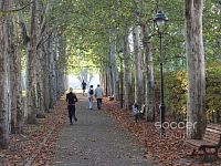 Pronájem bytu 2+kk/T, 60 m2, ul. Jirečkova, Praha 7 - Holešovice. - Foto 16