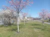 Pronájem bytu 2+KK/S, 47 m2, Praha 4 - Komořany, Za Sídlištěm - Foto 12