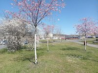 Pronájem bytu 2+KK/S, 47 m2, Praha 4 - Komořany, Za Sídlištěm - Foto 12