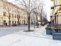 Pronájem bytu 2+kk, 55 m2, Praha 8 - Karlín, ul. Thámova. - Foto 3