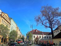 Pronájem bytu 2+kk, 65 m2, Praha 1 - Malá Strana, ul. Všehrdova. - Foto 11