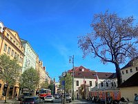 Pronájem bytu 2+kk, 65 m2, Praha 1 - Malá Strana, ul. Všehrdova. - Foto 12