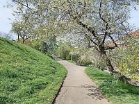 Pronájem bytu 2+kk, 48 m2, Praha 3 - Žižkov, ul. Jeseniova. - Foto 18