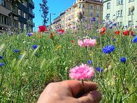 Pronájem bytu 2+kk, 48 m2, Praha 4 - Nusle, ul. K Podjezdu. - Foto 7