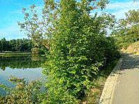 Prodej bytu 2+kk, 43 m2, Praha 10 - Horní Měcholupy, Nad přehradou - Foto 10