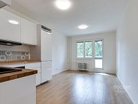 Pronájem bytu 3+kk/L/S, 56 m², Praha 6 – Vokovice, ul. Evropská