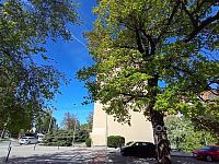 Prodej bytu 2+kk/S, 43 m2, Odolena Voda, ul. V Malém háji - Foto 7