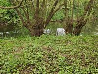 Prodej zahrady, 251 m², Vinec - Foto 5